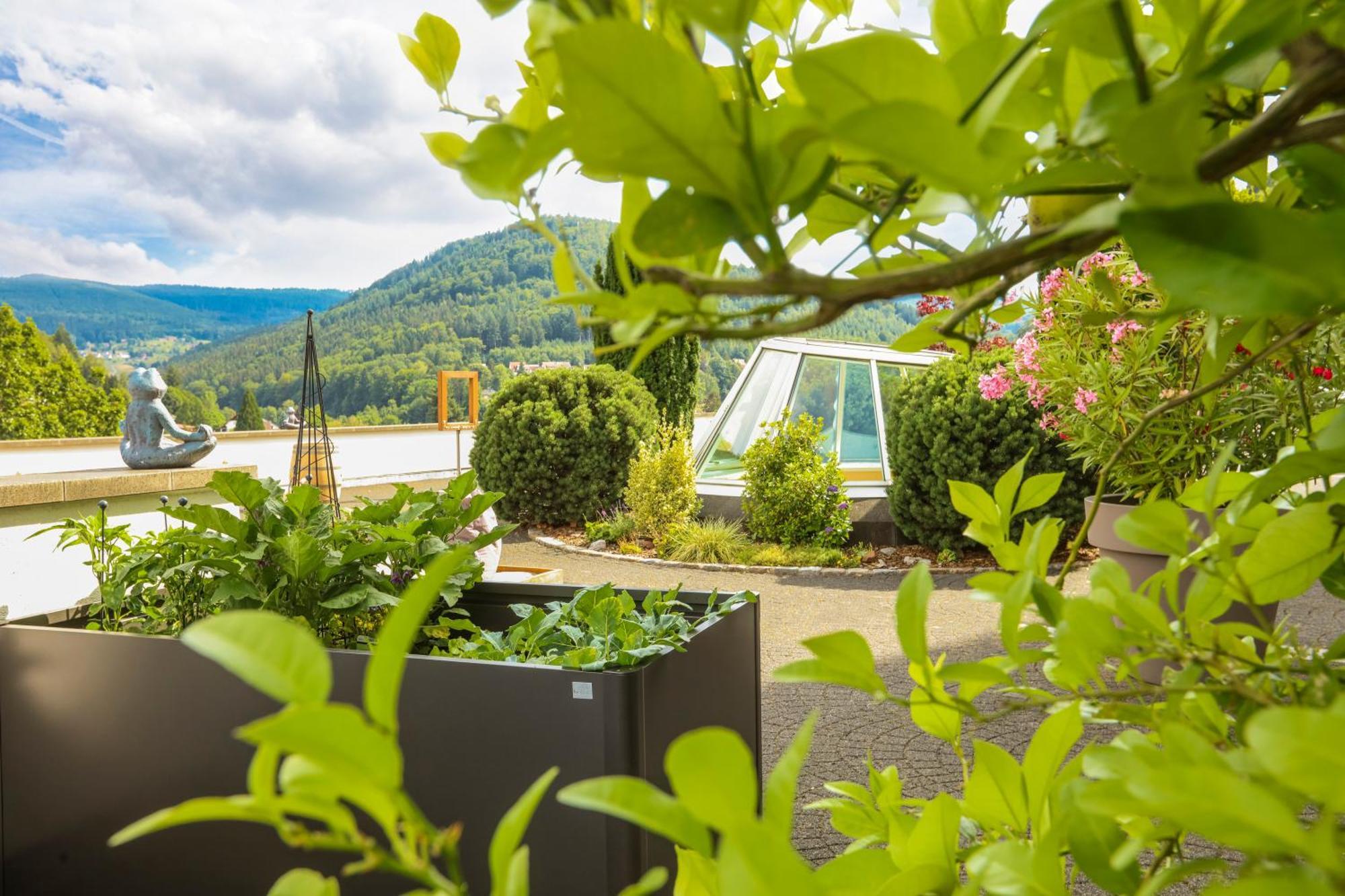 Schwarzwald Panorama Hotel Bad Herrenalb Luaran gambar