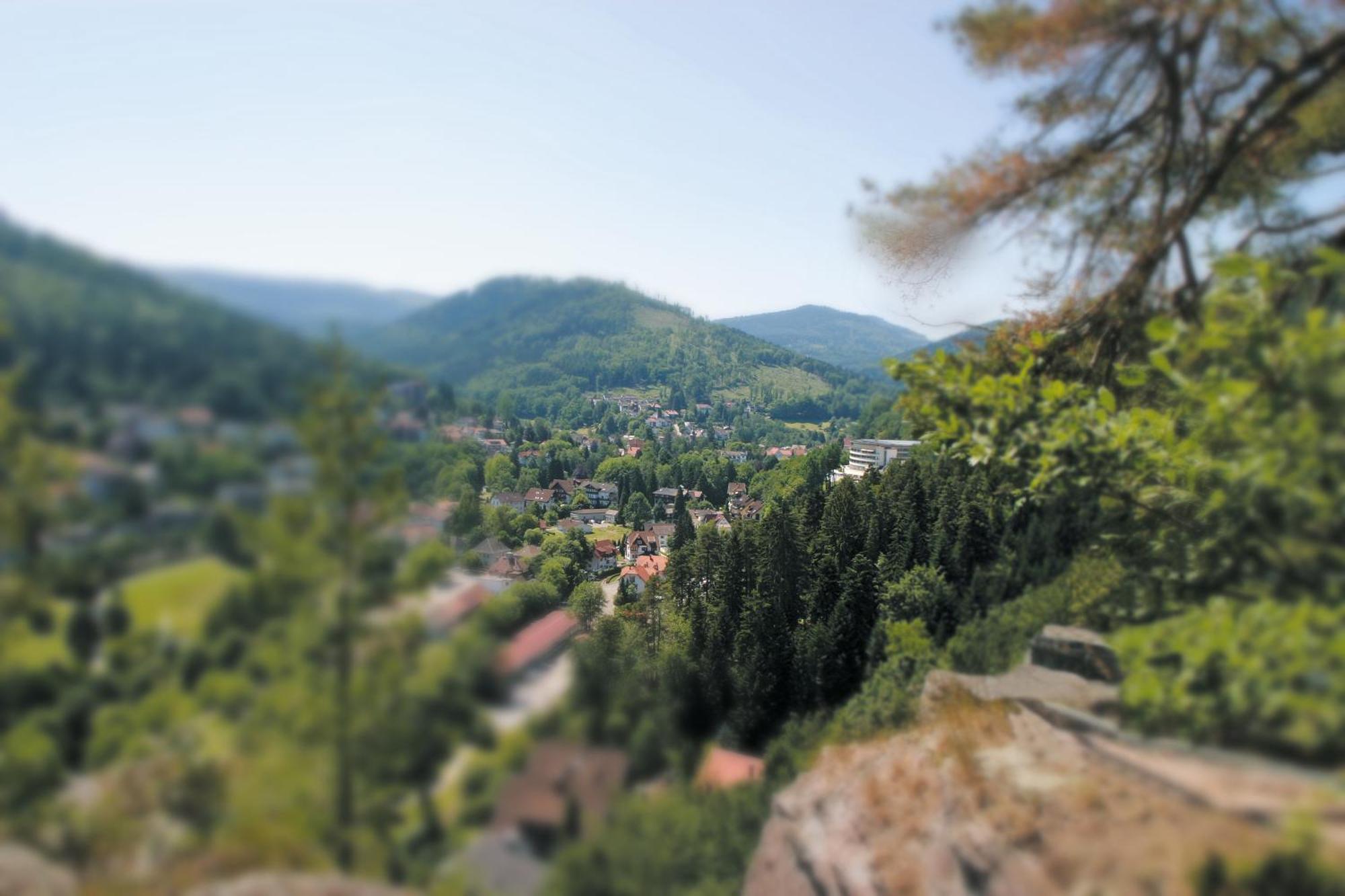 Schwarzwald Panorama Hotel Bad Herrenalb Luaran gambar